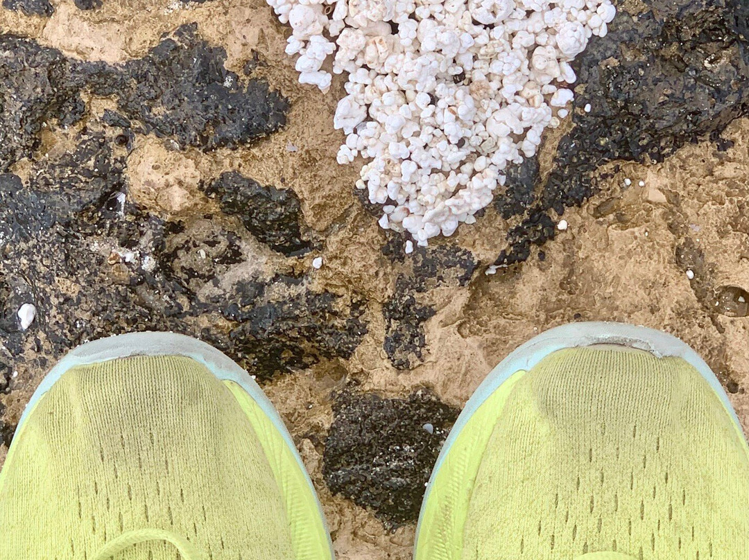 Popcorn Playa-科拉雷侯必去景点