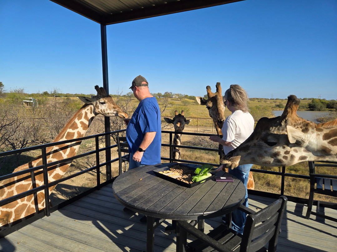 Blue Hills Ranch主图