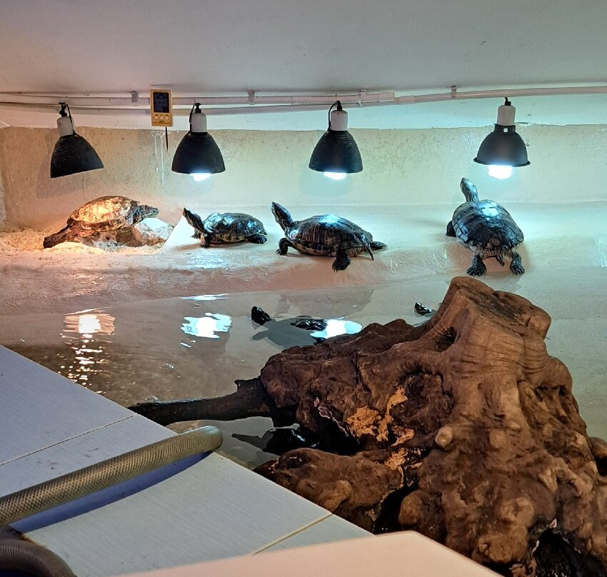 Malta National Aquarium-卡拉必去景点