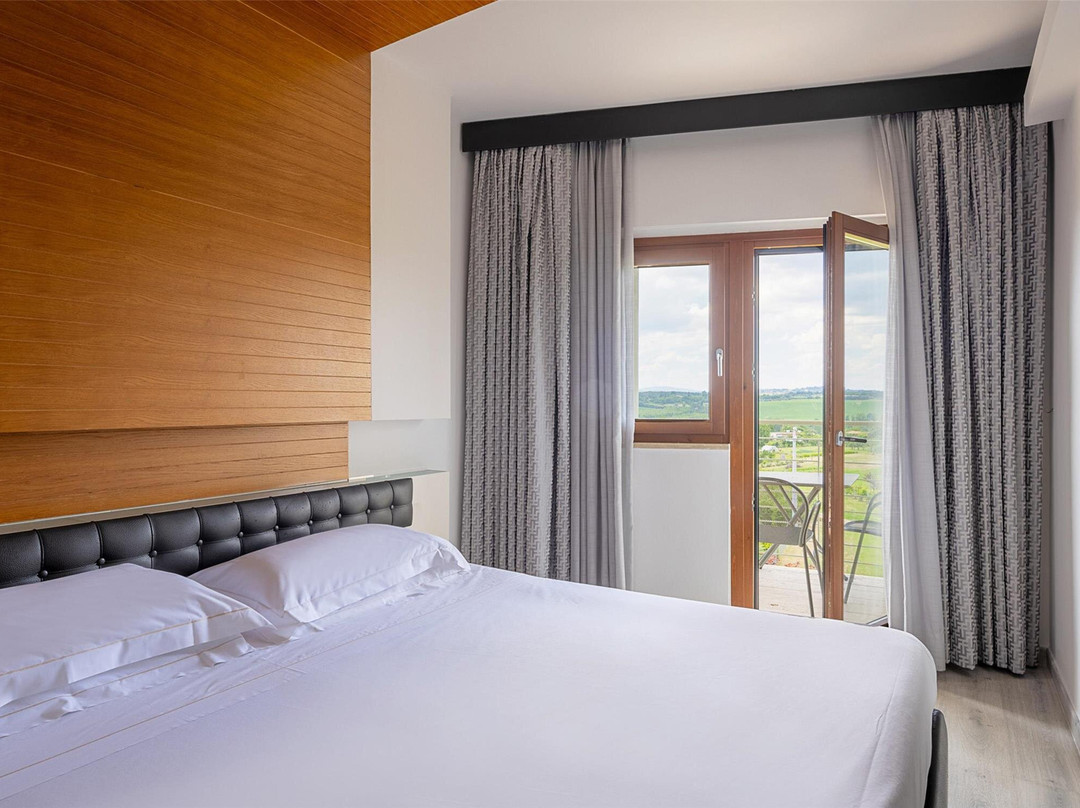 蒙塔培尔缇酒店主图