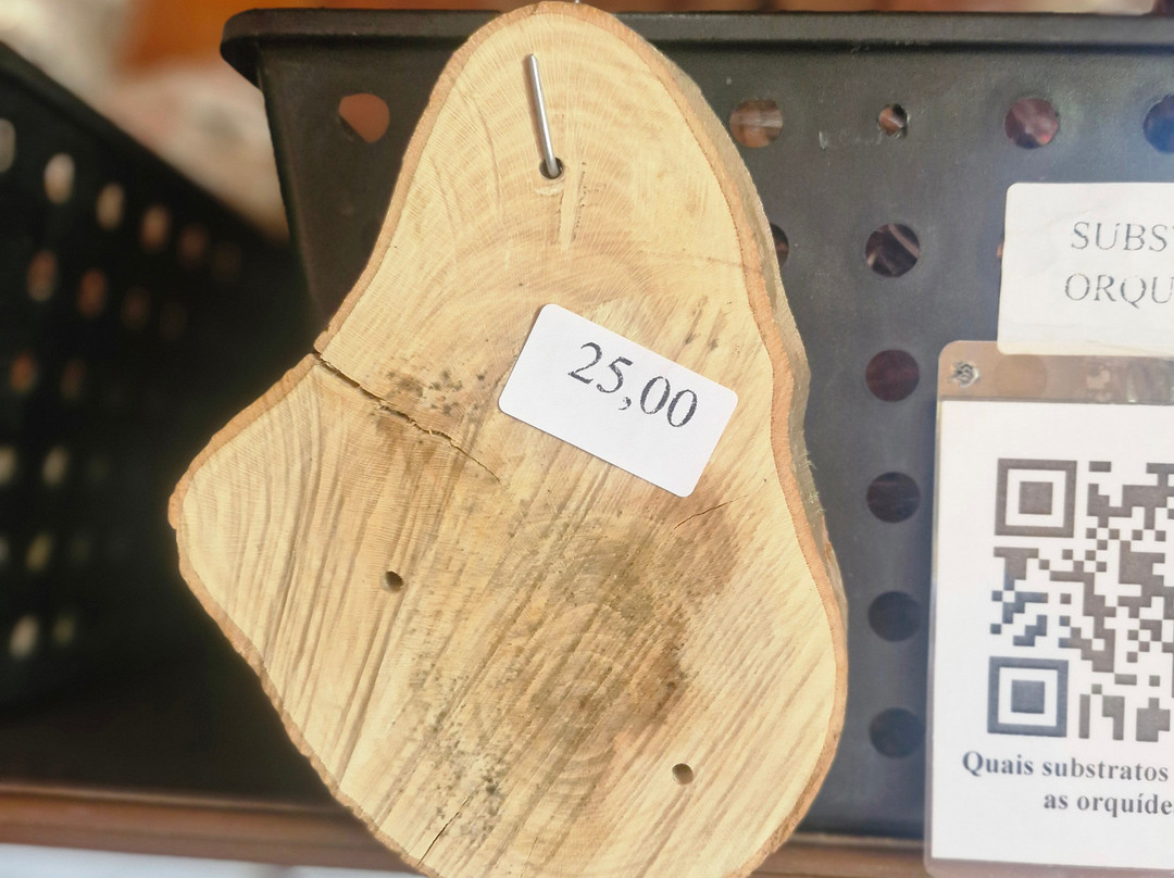 Orquidário MV-蒙特贝尔德必去景点