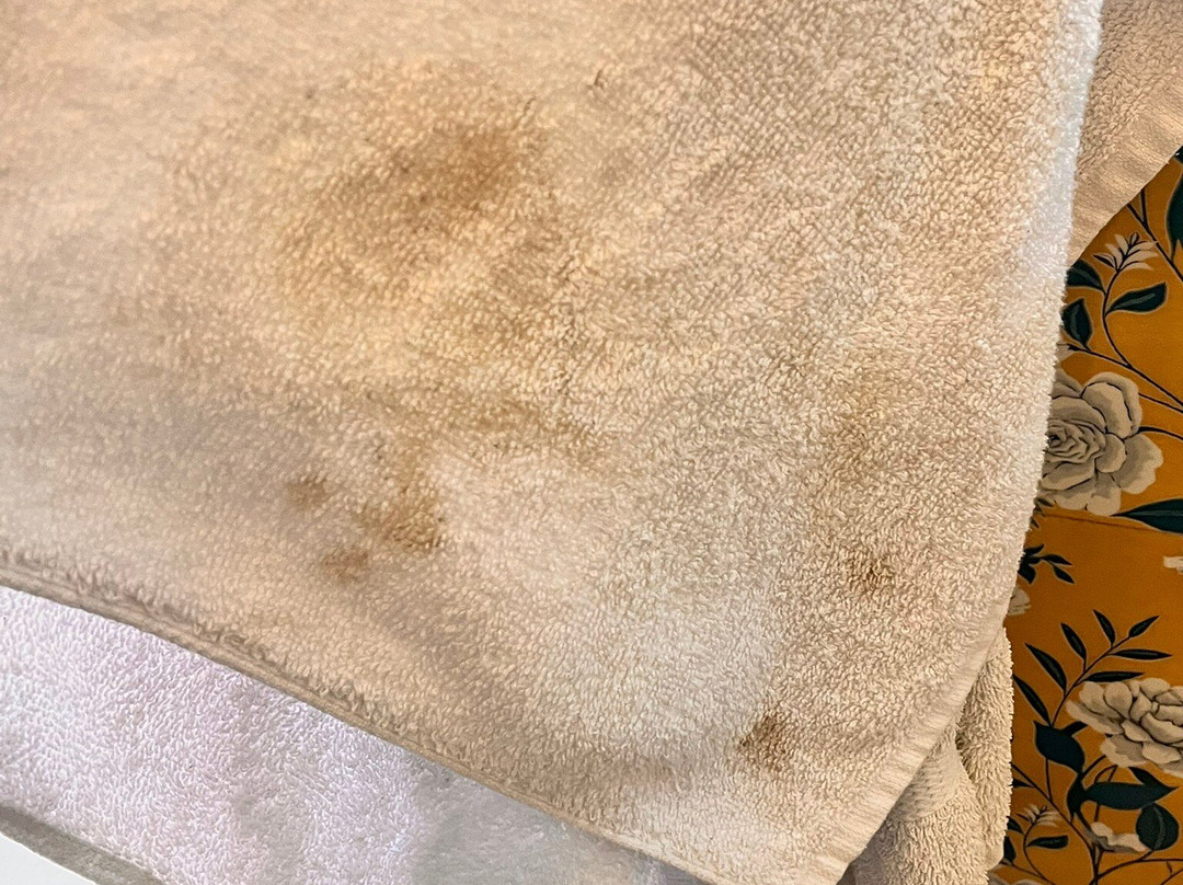 Echor Malusara Lakeview Retreat Bhimtal主图