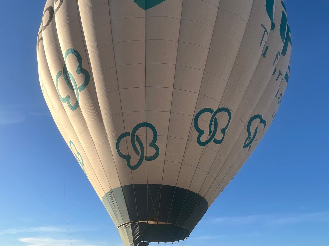 Mendoza Balloons-门多萨必去景点