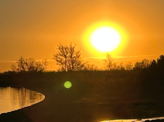 Explore With Spike-底特律必去景点