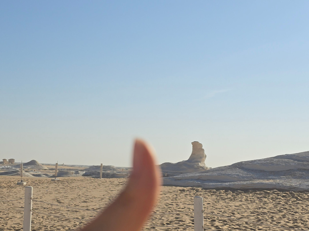 white desert travel-Bahariya Oasis必去景点