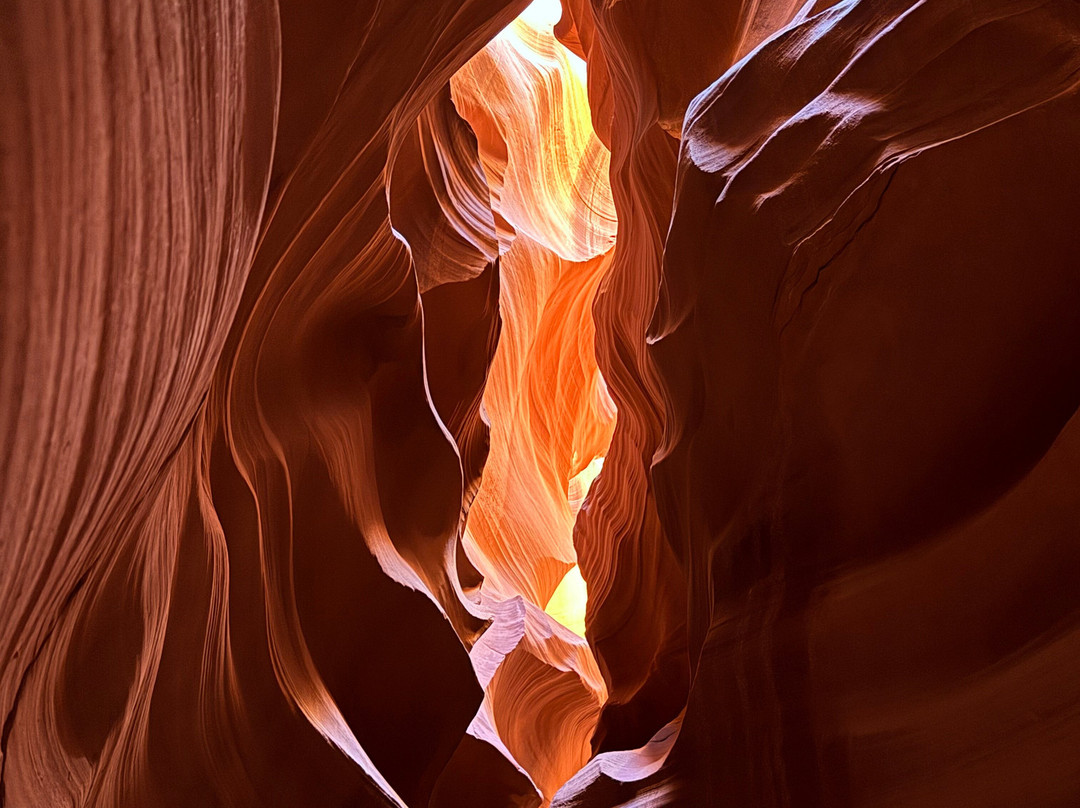 Antelope Canyon Tours by Roger Ekis-佩吉必去景点