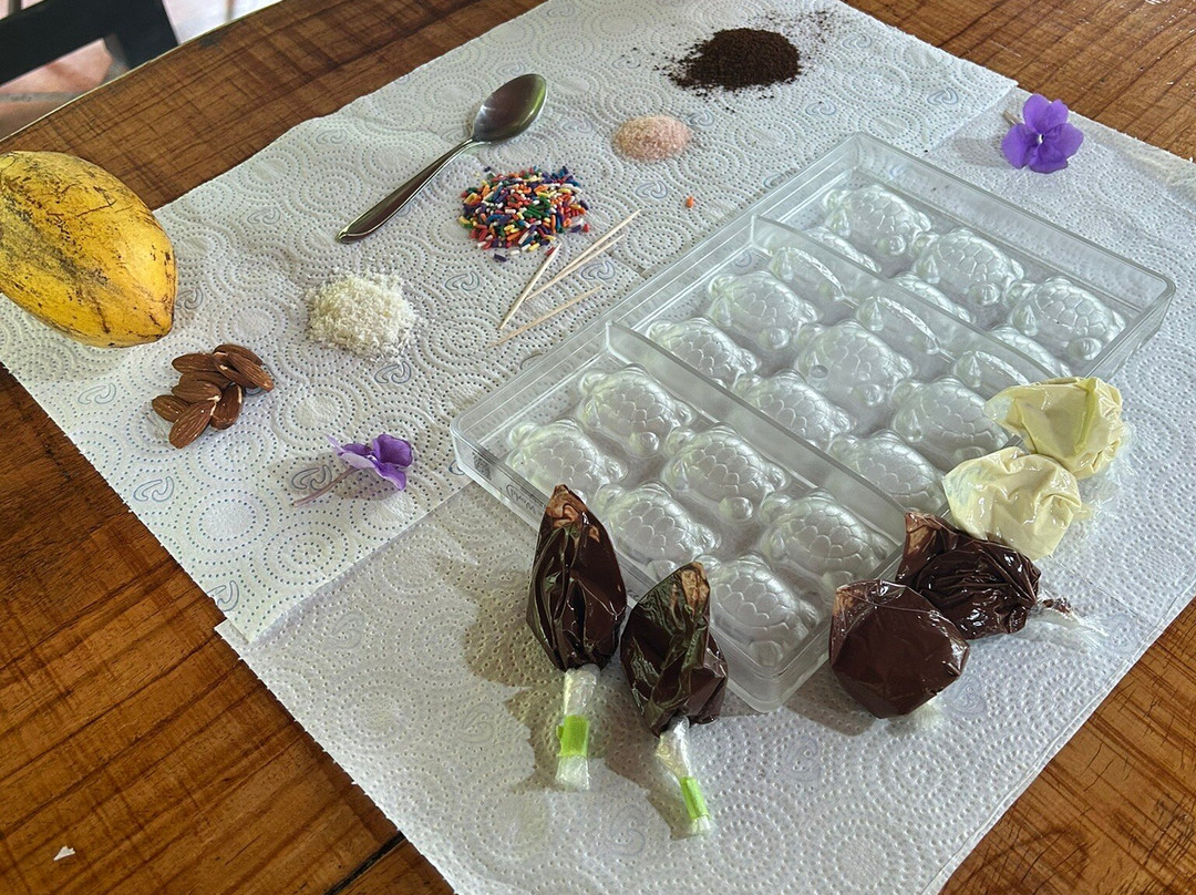 Two Little Monkeys Chocolate Tour-福德圣卡洛斯必去景点