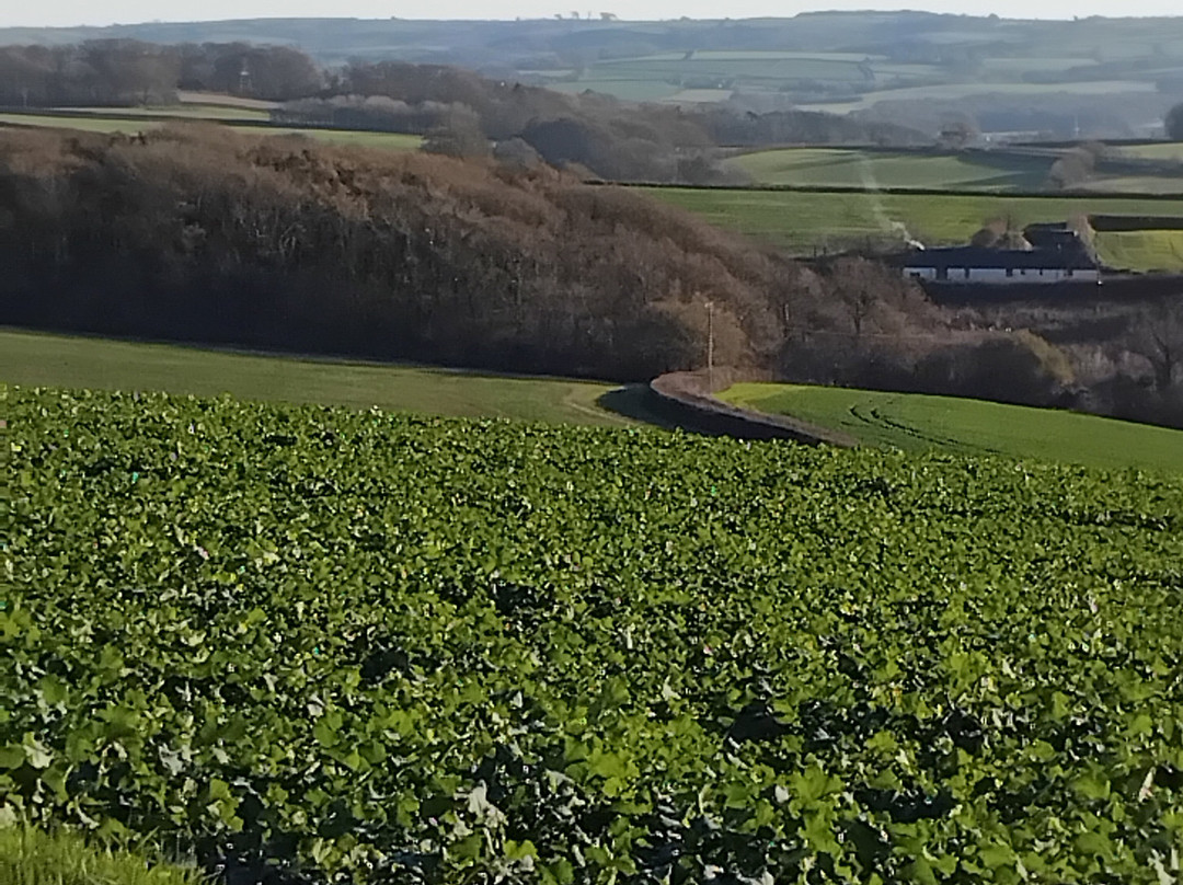 Travelodge Barnstaple Hotel主图