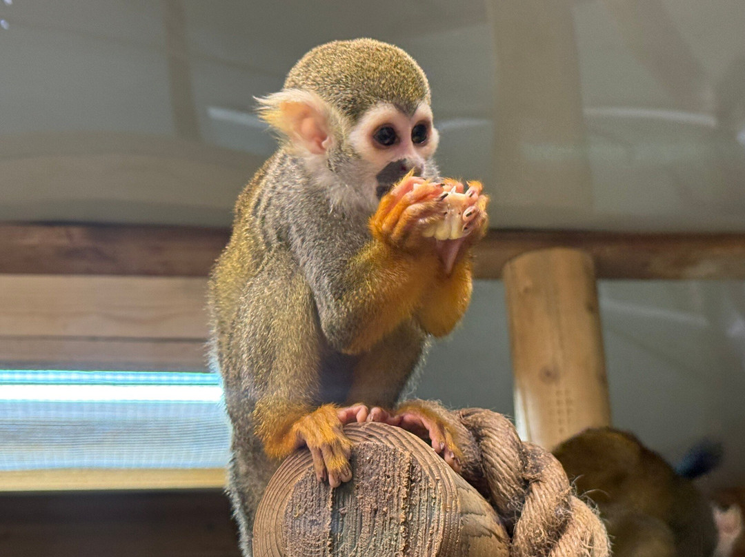 Shaldon Wildlife Trust-Shaldon必去景点