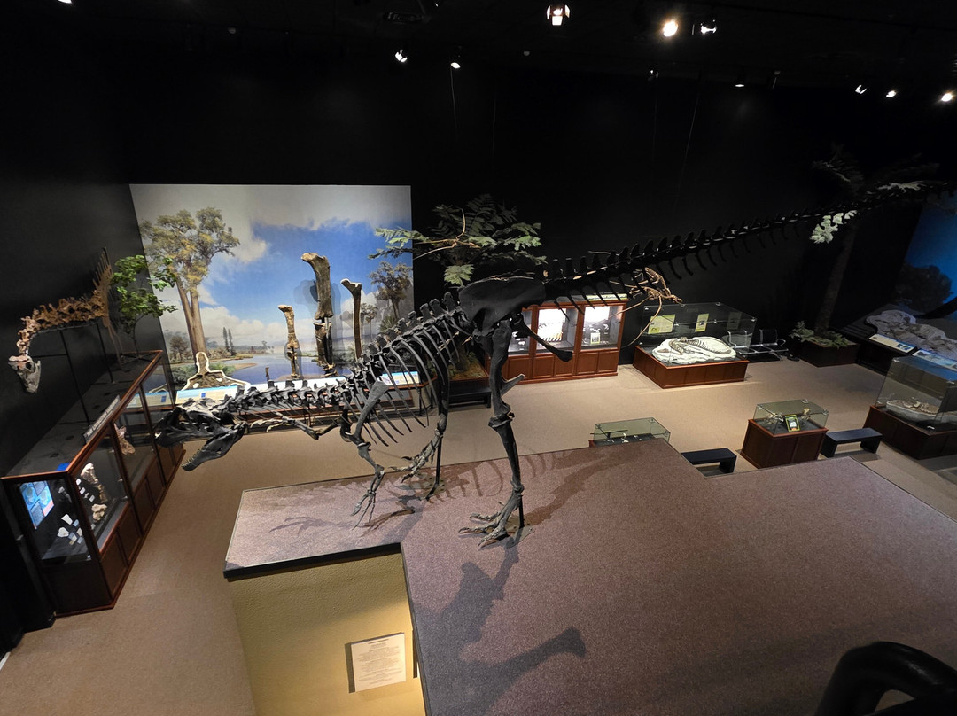 Museum of the Rockies-博兹曼必去景点