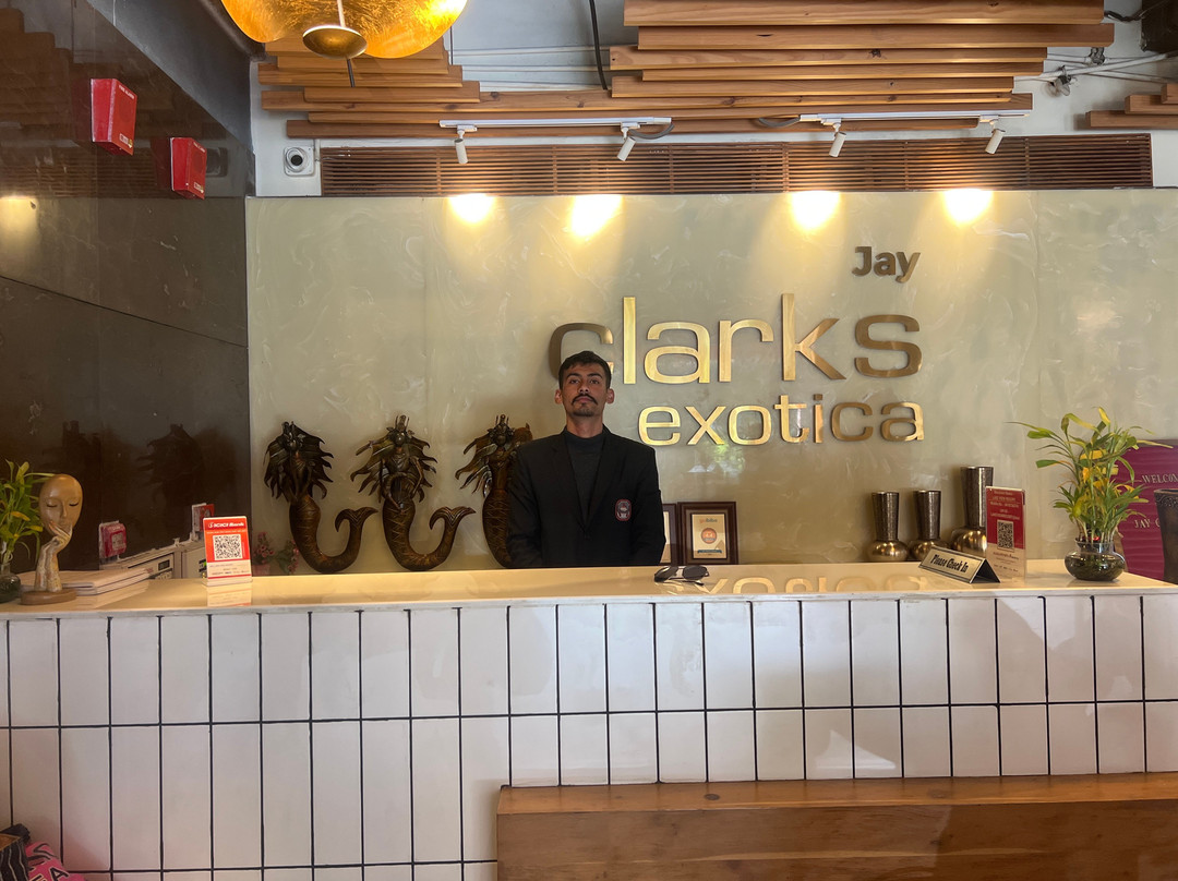 Jay Clarks Exotica主图