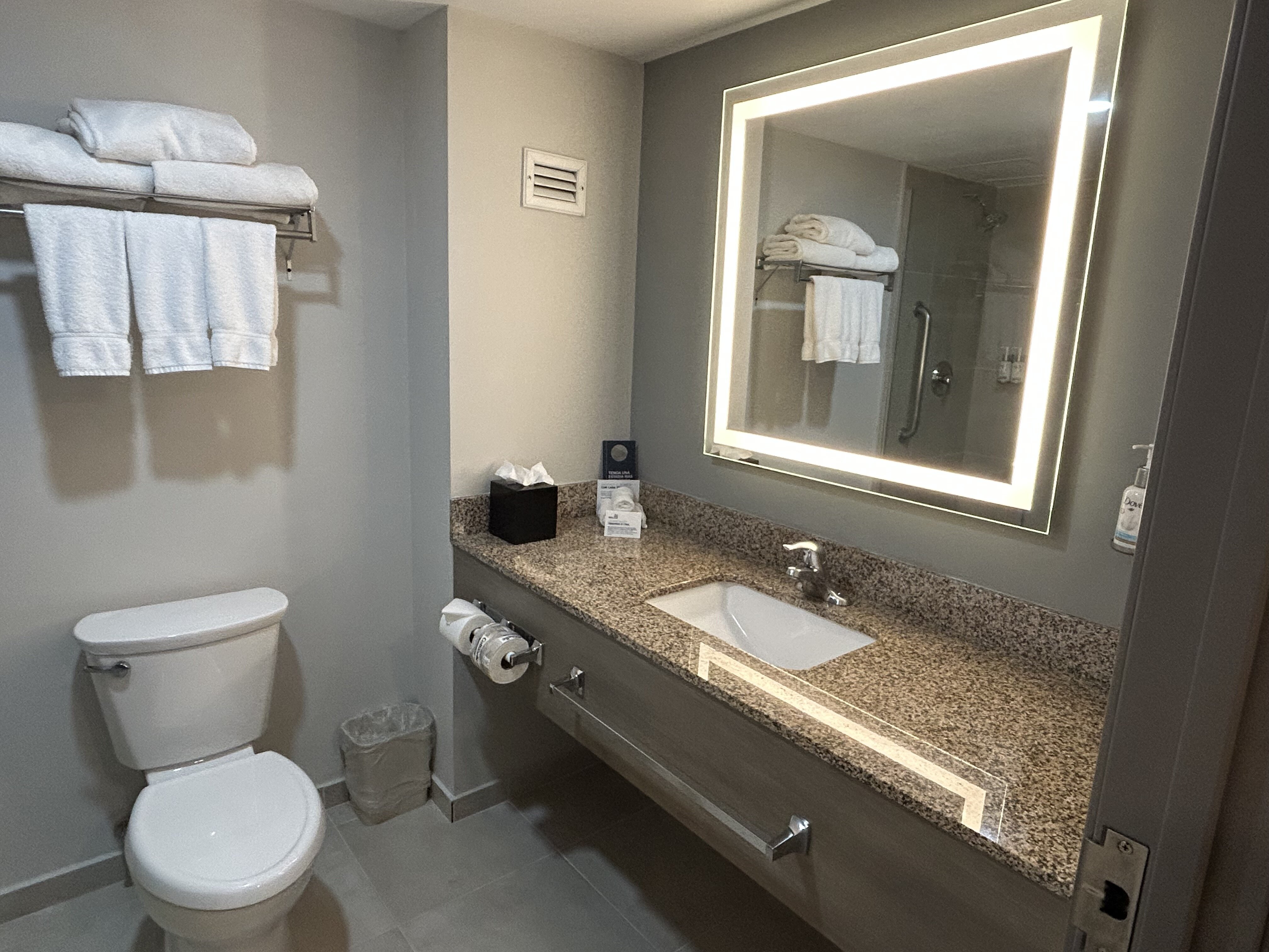 Holiday Inn Express & Suites Monterrey Aeropuerto-浴室