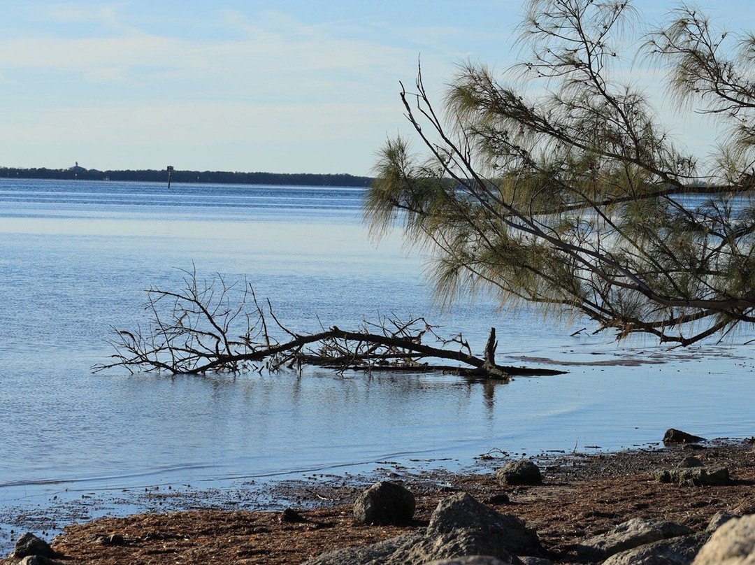 Skyway Fishing Pier State Park-圣彼德斯堡必去景点