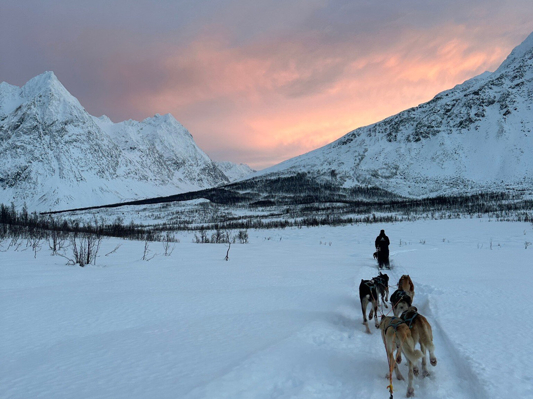Lyngen Husky Safari-Svensby必去景点