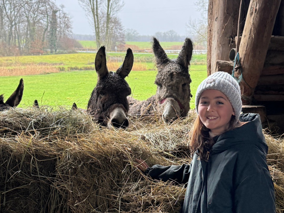 Domaine Les Bachats主图