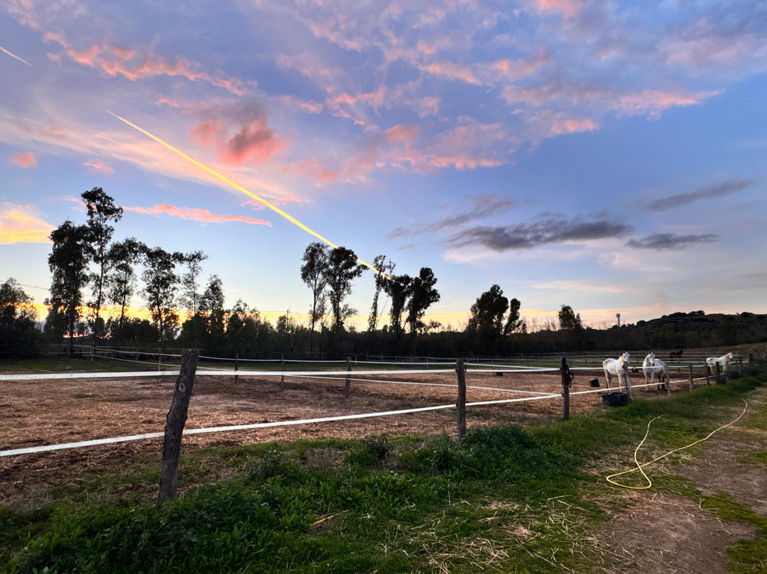 Centro Escursioni Iba Sa Cresia-Muravera必去景点