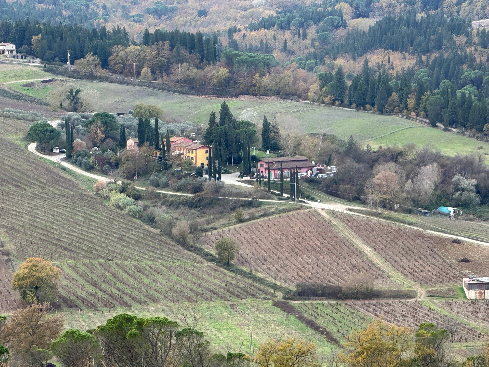 Podere Dell'Anselmo-官方
