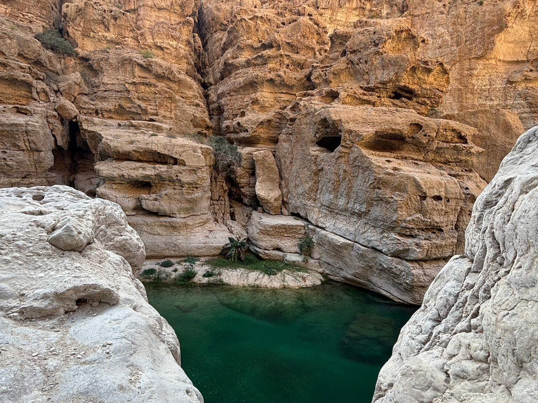 Shab Tours-马斯喀特必去景点