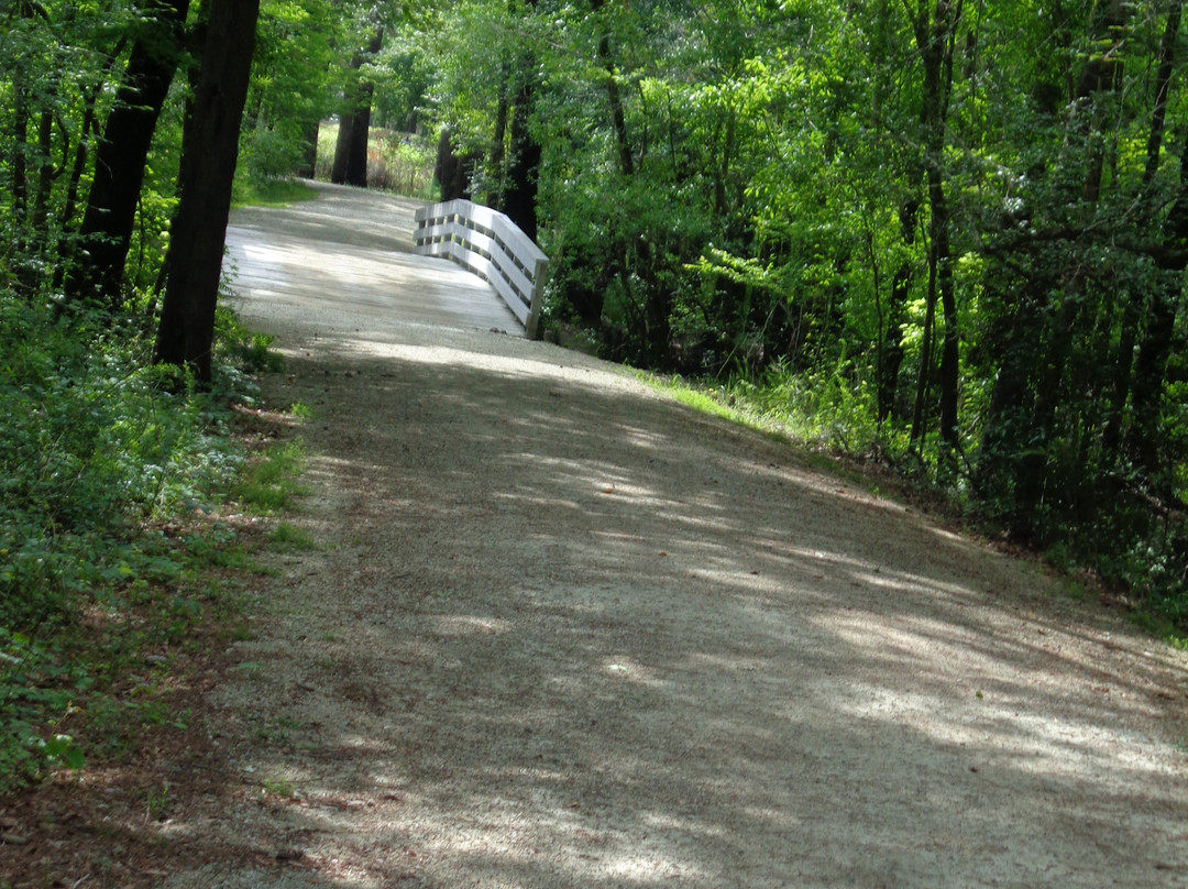 Moore's Creek National Battlefield-Currie必去景点