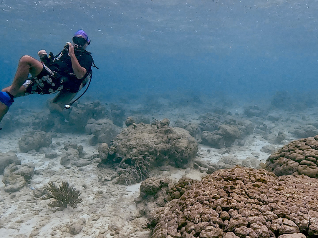 JADS Dive Center-San Nicolas必去景点