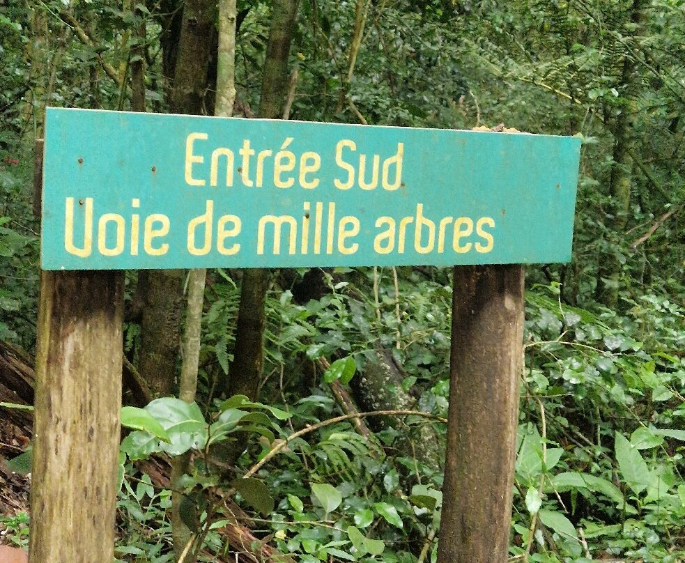 Parc Nationale Montagne D'ambre-Joffreville必去景点