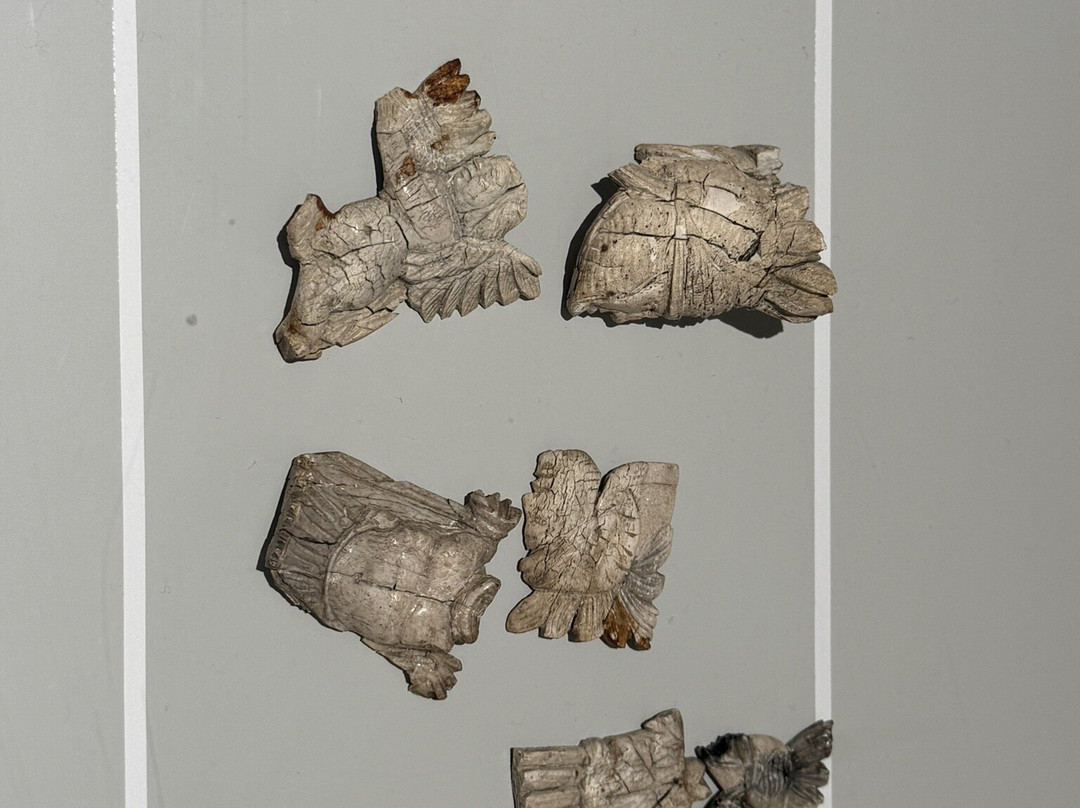 Museo Archeologico Regionale-奥斯塔必去景点