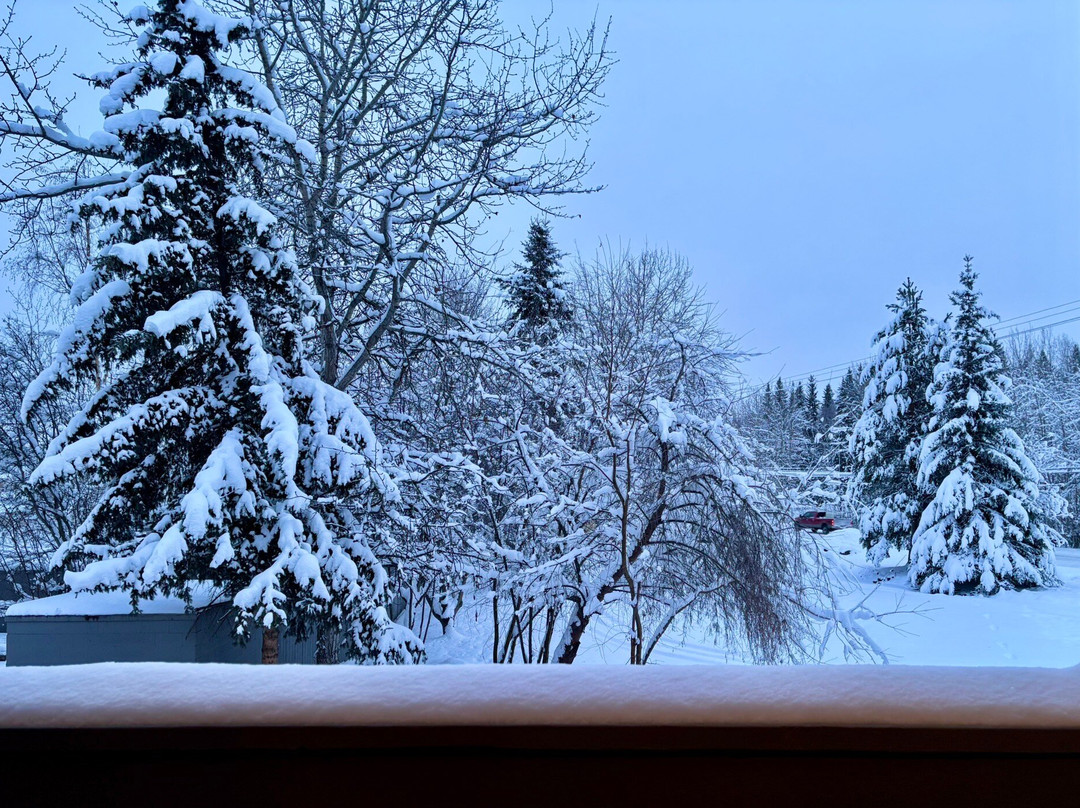 Golden North Inn主图