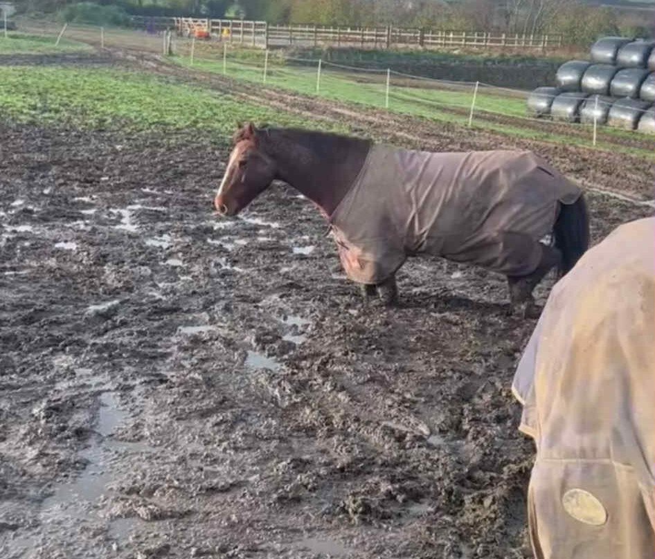 Caradon Hill Trekking and Equestrian Centre-Pensilva必去景点