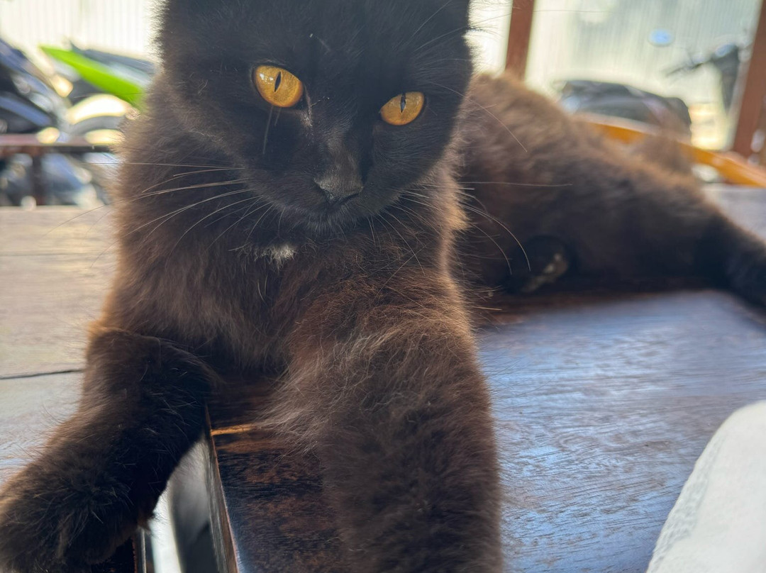 Papa Fish Excursions-乌库拉斯必去景点