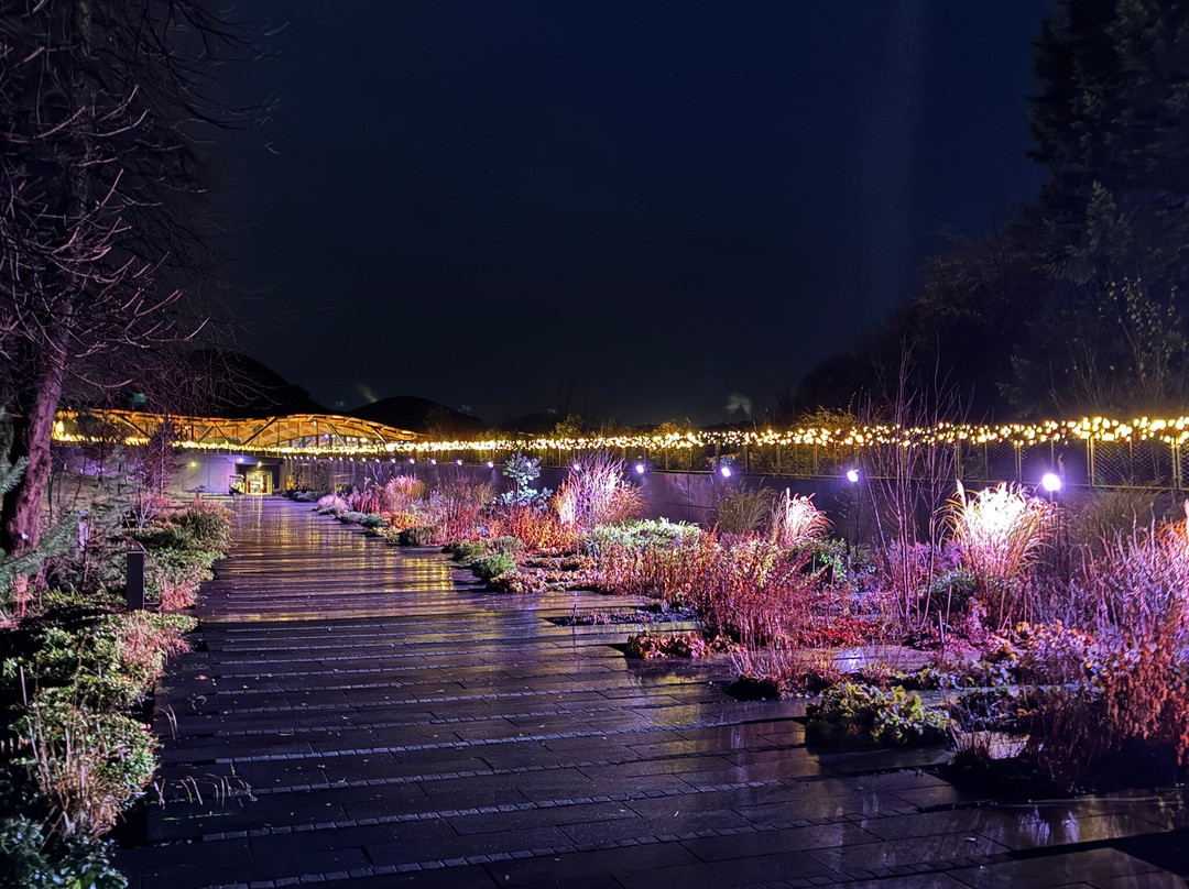 The Macallan Distillery-Easter Elchies必去景点