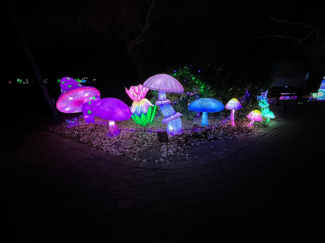 Serengeti-park Hodenhagen-Hodenhagen必去景点