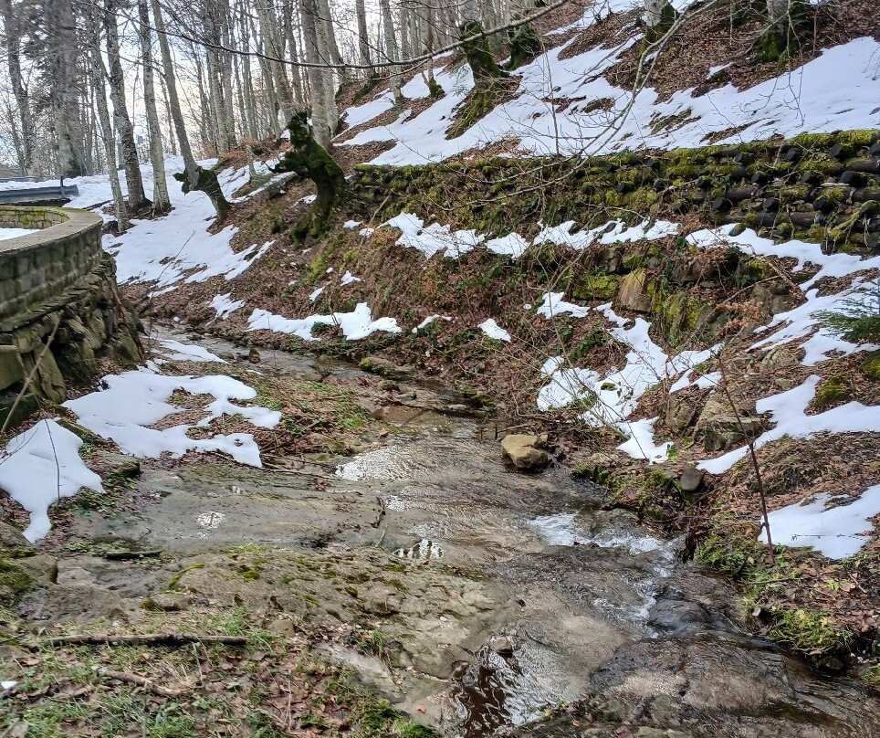Sorgente del Tevere-Verghereto必去景点