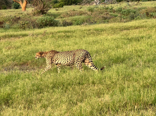 Africana Adventures Kenya-瓦塔木必去景点