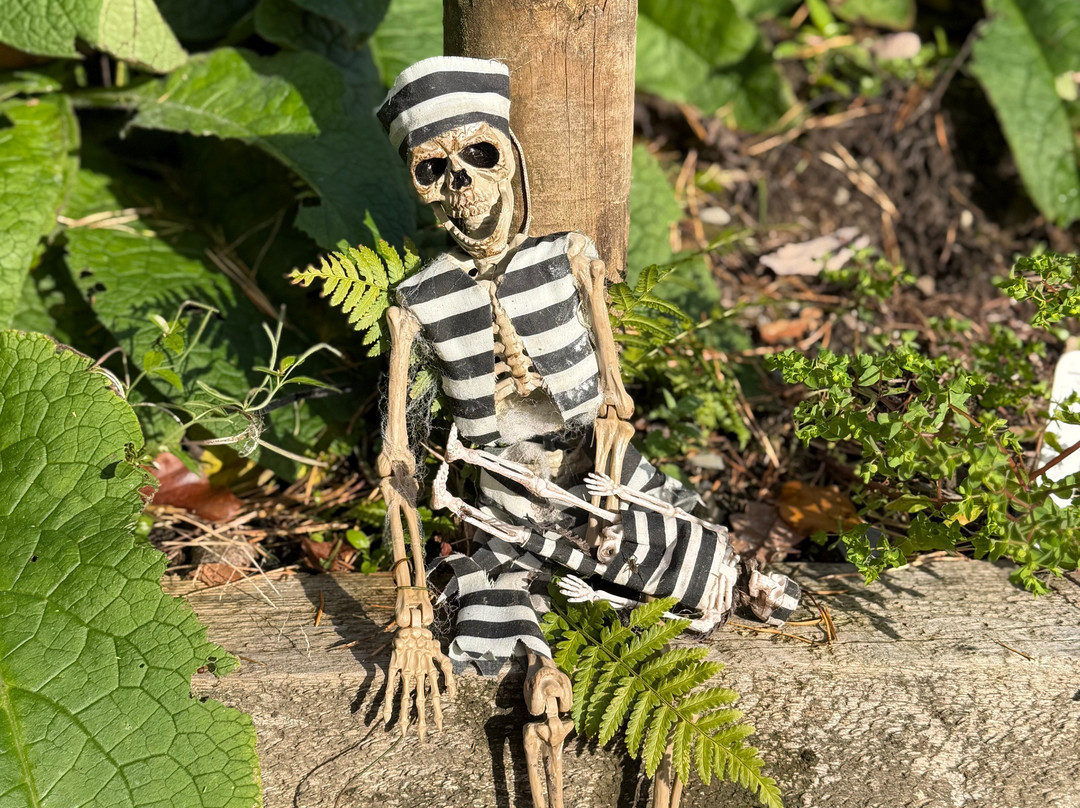 温德米尔布罗克霍尔湖-温德米尔必去景点