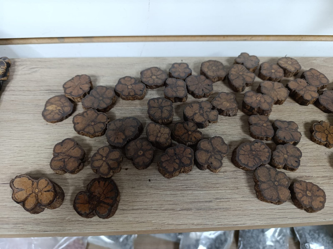 Centro Artesanal Turistico Anaconda-伊基托斯必去景点