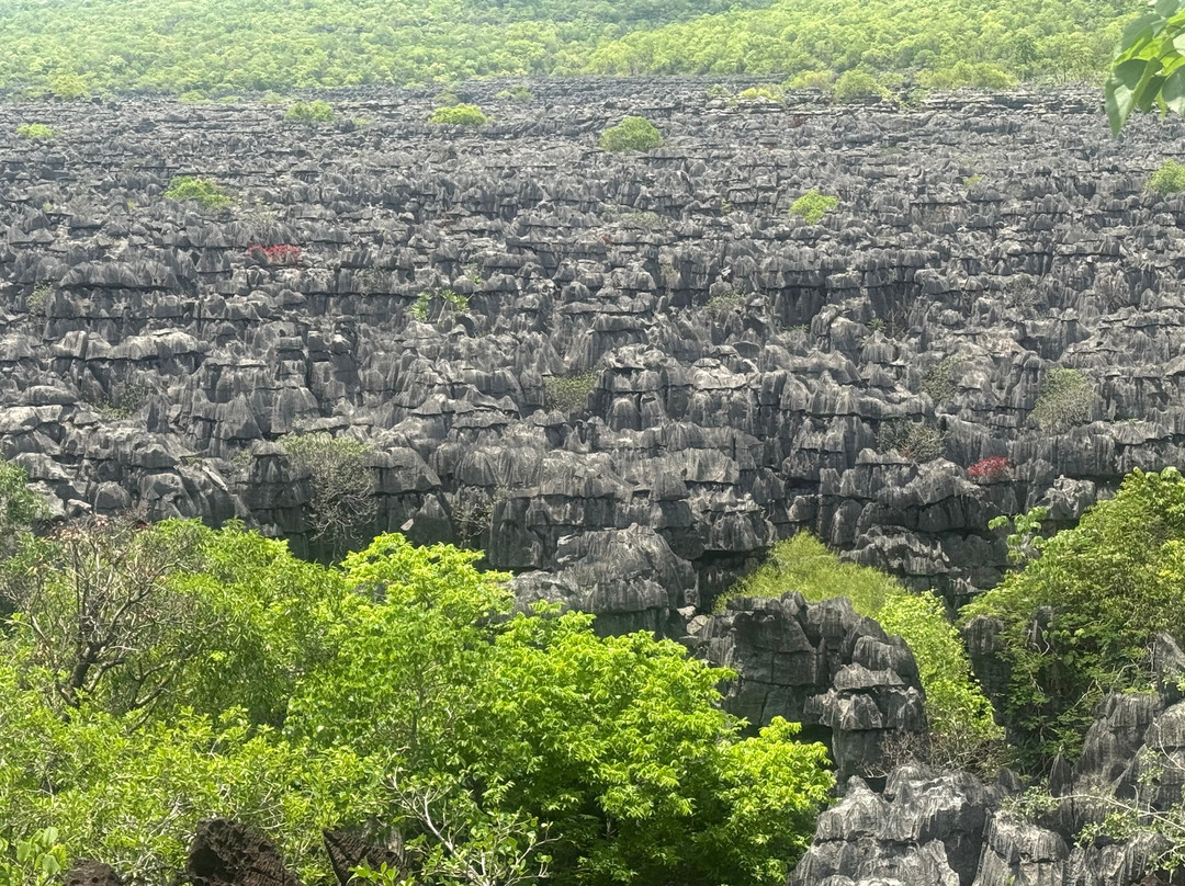 Ankarana Special Reserve-迪亚哥苏亚瑞必去景点