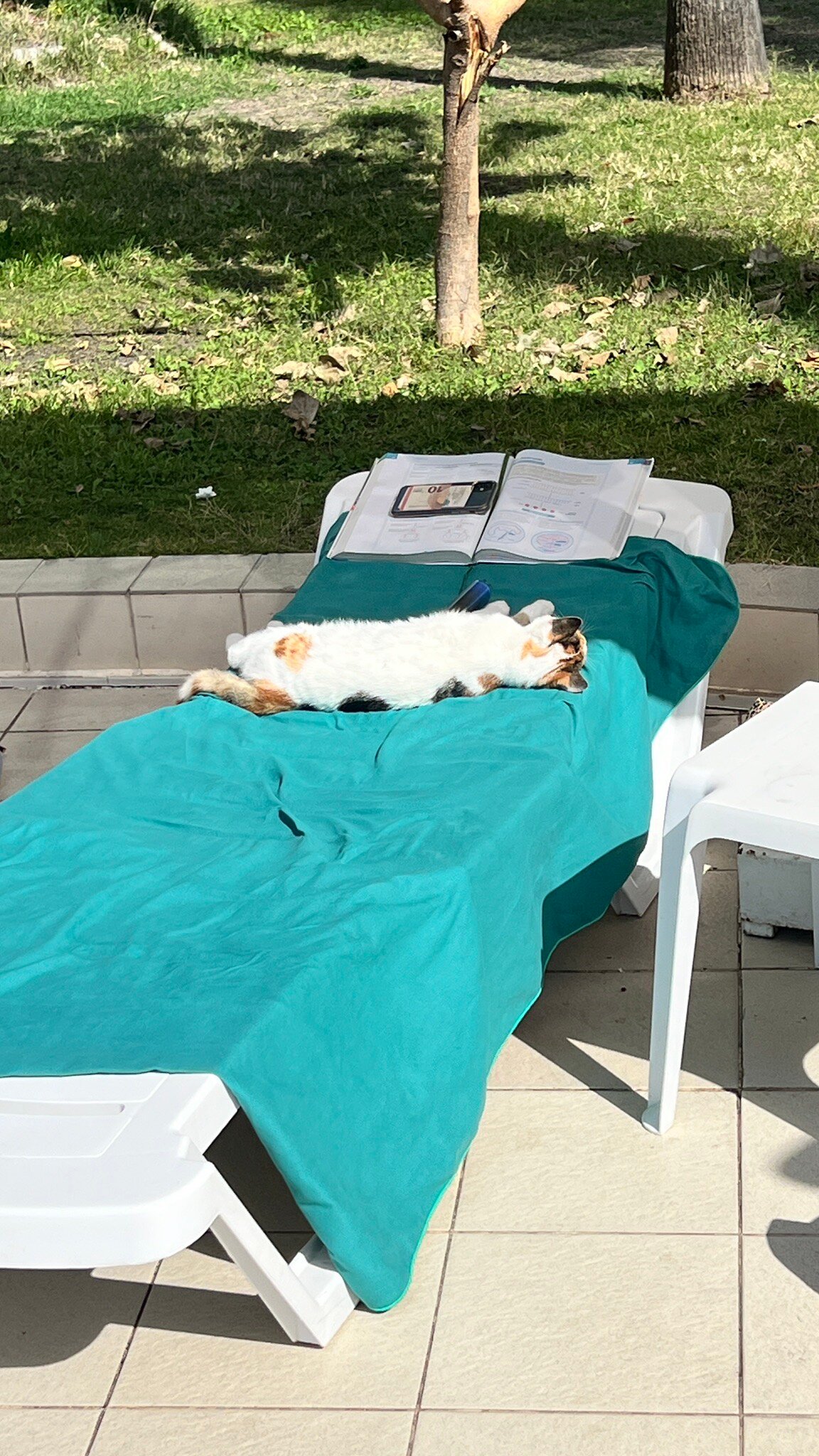 Presa Di Finica Hotel & Suites-官方