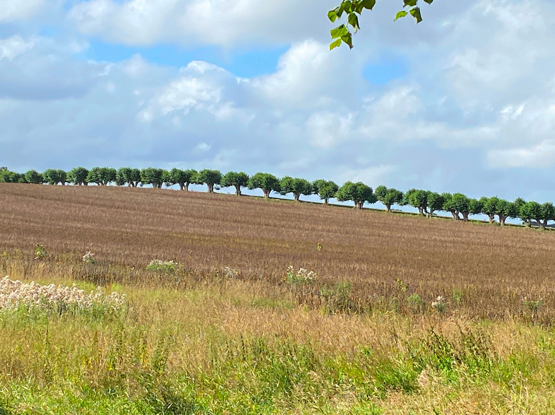 Bothmer Palace-Kluetz必去景点