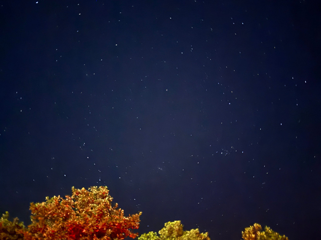 BioIsland-Cabezas必去景点