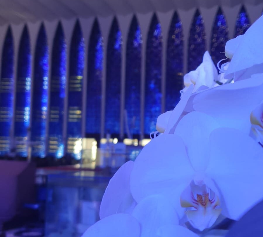 Santuário São João Bosco-巴西利亚必去景点