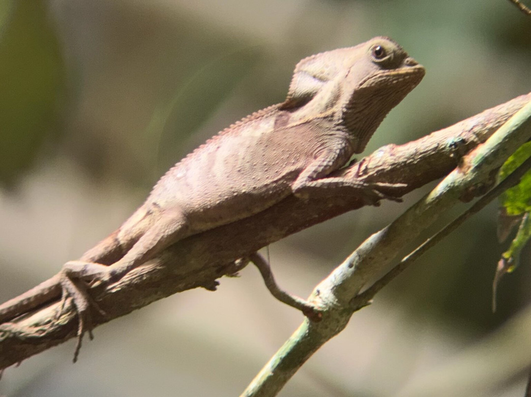 0S3 Private Tours-哈科必去景点