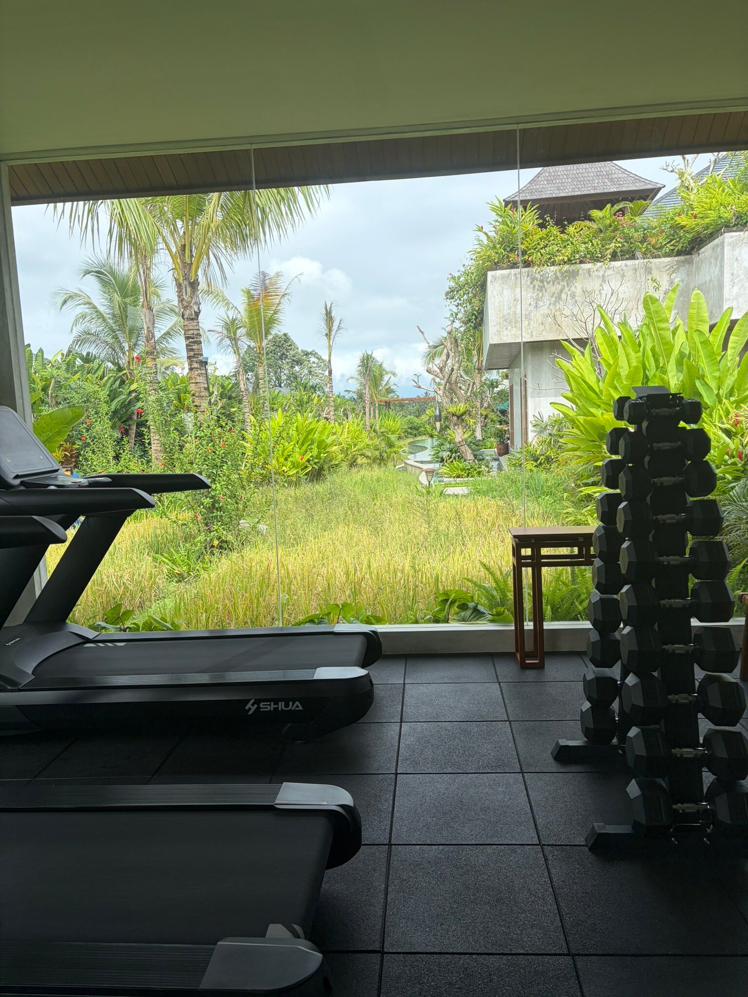 Inara Alas Harum-官方