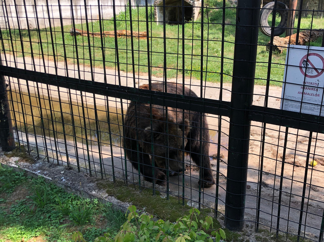 Sibiu Zoological Garden-锡比乌必去景点