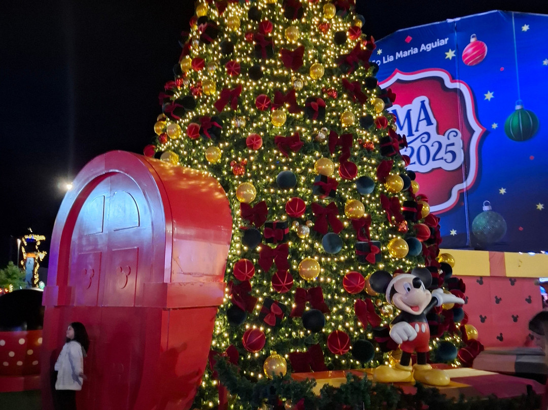 Vila Capivari-坎普斯－杜若尔当必去景点