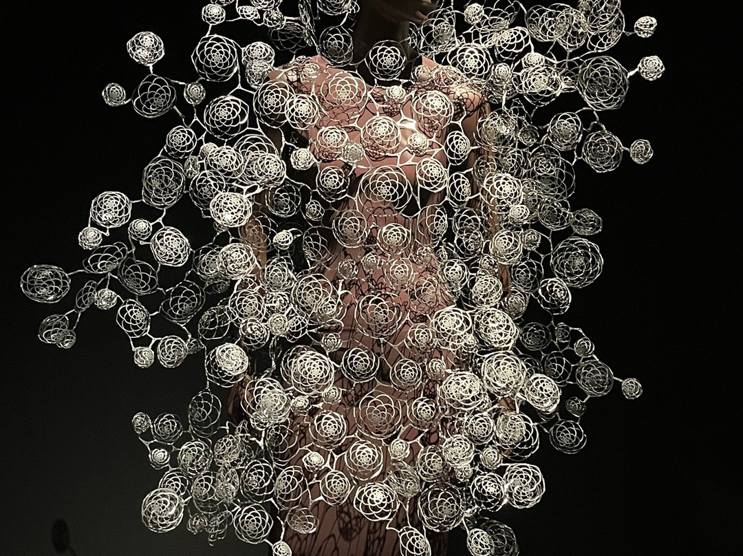 昆莎美术馆-鹿特丹必去景点