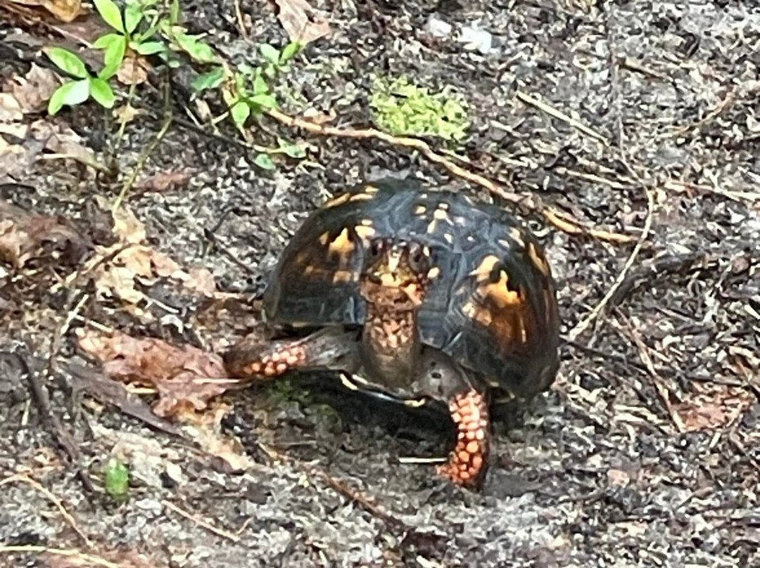 Maurice River Bluffs  Nature Preserve-Millville必去景点