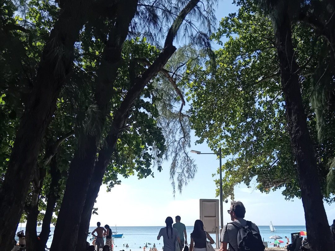 Plage de Trou aux Biches-卓欧毕雪必去景点