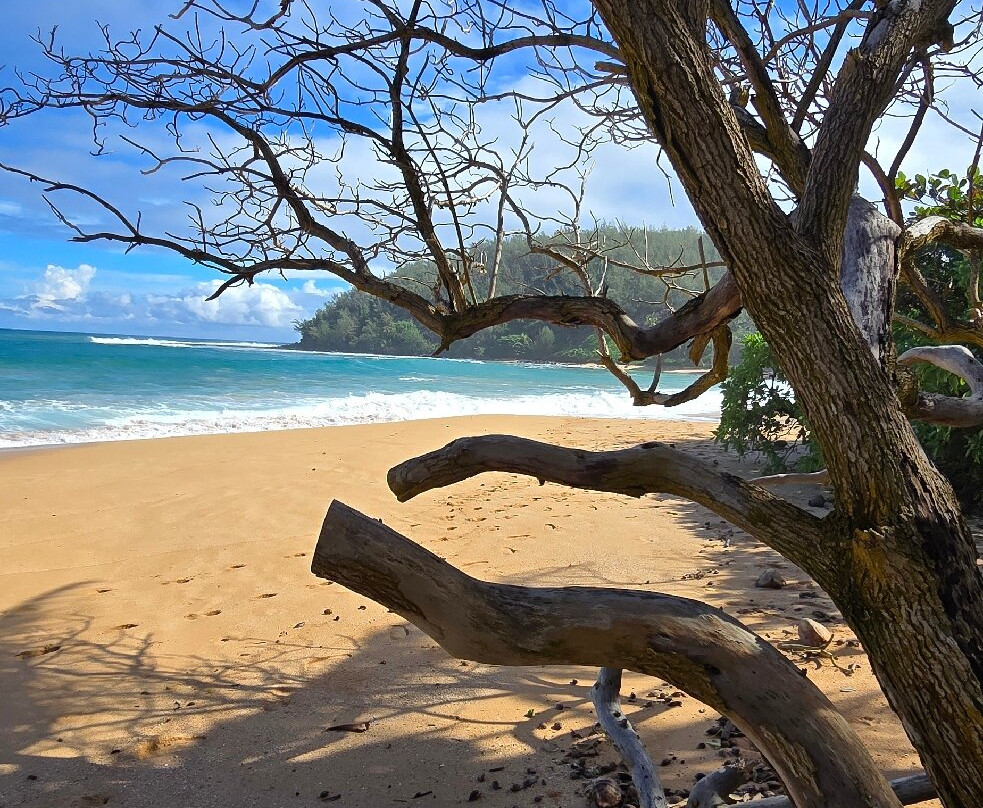Moloa'a Beach-基拉韦厄必去景点