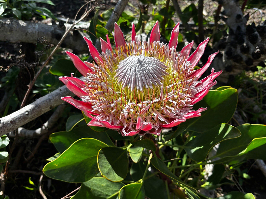 Timah-La Puntilla必去景点