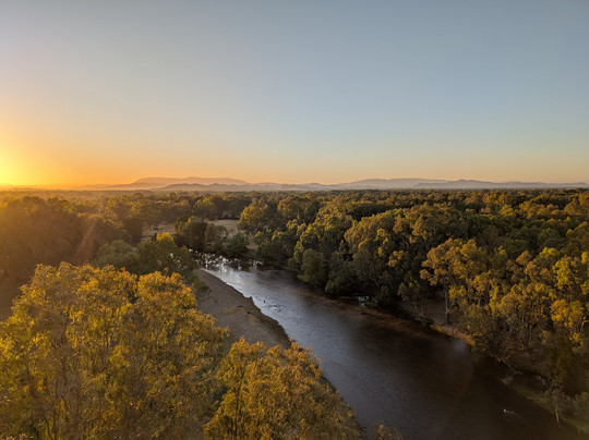 Goldrush Ballooning King Valley-King Valley必去景点